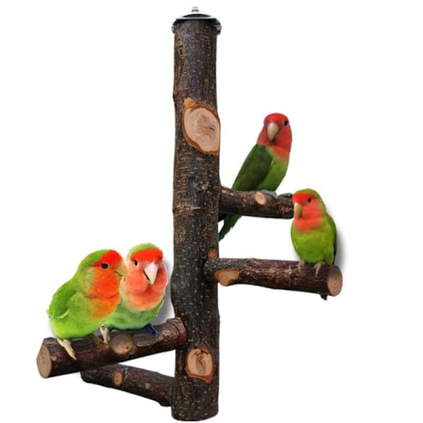 Lintuteline, luonnonpuinen papukaijateline, lintuhäkkiteline, lintuhäkkitelineet papukaijoille, pienille papukaijoille, undulaateille, papukaijoille, rakkauslinnuille