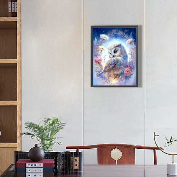 DIY-timanttimaalaus, timanttitaidemaalauksen pöllöpaketit aikuisille, kirjontakuvat taide- ja käsityöt aloittelijoille Kotiseinän sisustus 30 × 40cm (valkoinen)