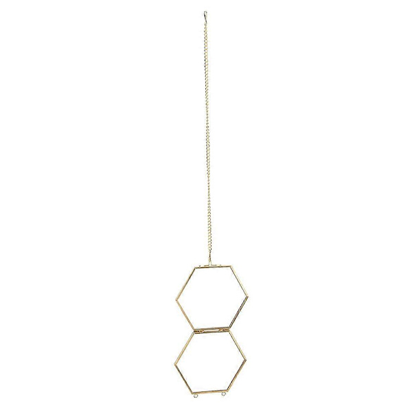 Geometrisk hexagonal glasdisplayhållare för torkade blommor och växtprover