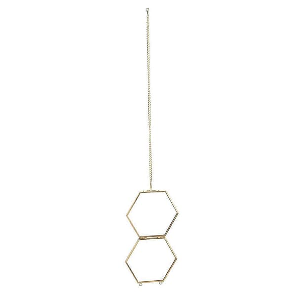 Geometrisk sekskantet glasdisplayholder til tørrede blomster og planteprøver