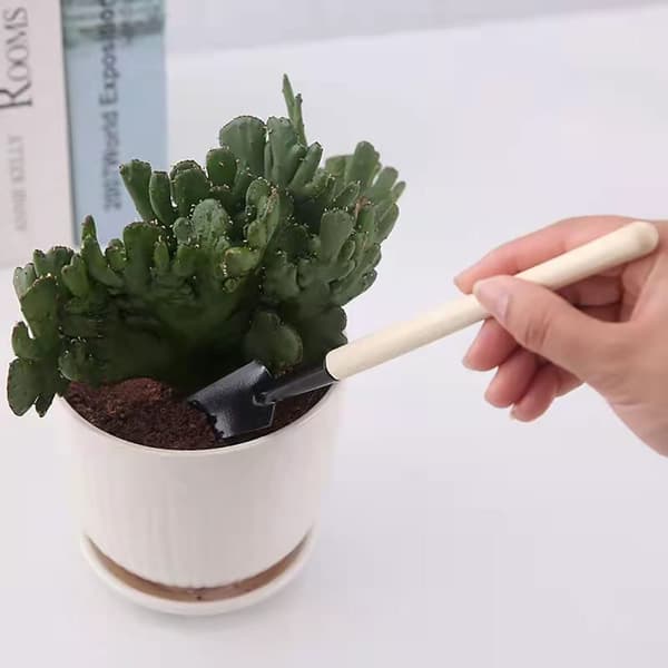 3-delars blomsterträdgårdsset för inomhus miniatyrfe