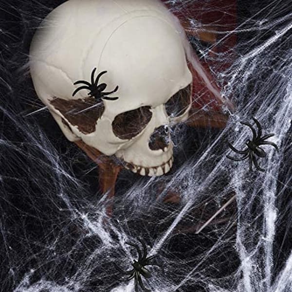 1 stk Halloween Spindelvev Elastisk Falsk Spindelvev og Edderkopper Innendørs Utendørs Hage Spøkelseshus Dekor (20g, hvit)