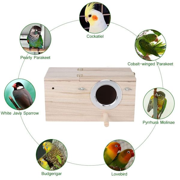 Papegøye Avl Reir Boks, Cockatiel Avl Bur, Fuglebur(L)