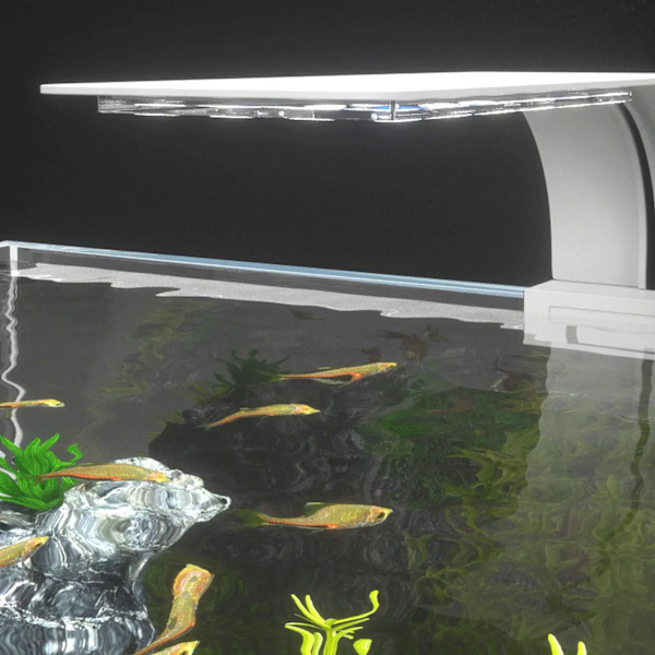 LED-akvarielampe med hvitt og blått lys, 2,5A, hvit