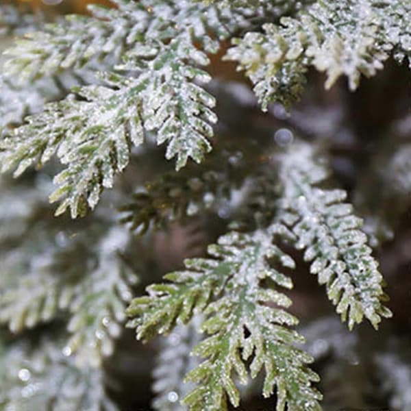Floing Kunstig Juletre, Desktop Seder Juletre, Innendørs Juledekorasjoner E