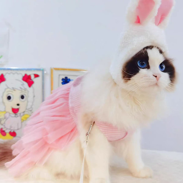 Hundklänning, valp kattunge rosett randig mesh väst (M, rosa)