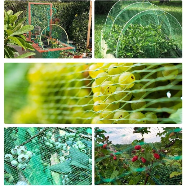 2x10m Hage Netting Grønn, Fuglenetting Dam Plante Netting for Beskyttelse av Frukttrær Grønnsak Blomster Avlinger Jordbær Erter og Bønner 200×1000cm