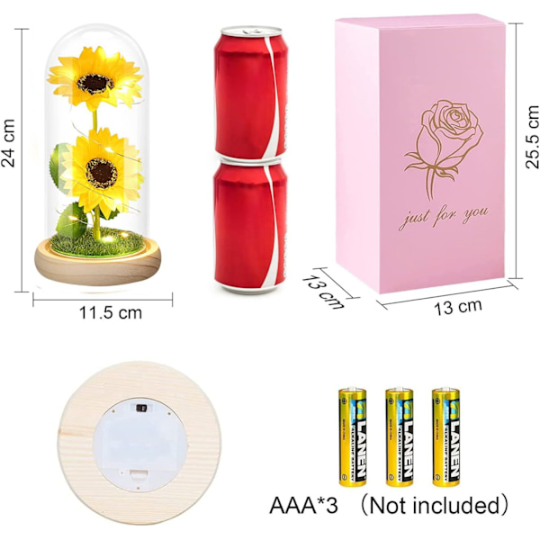Gåvor till kvinnor - Galaxy Flower Present till mors dag, evig blomma med LED i glaskupol, present till mamma mormor, unik gåva till mors dag