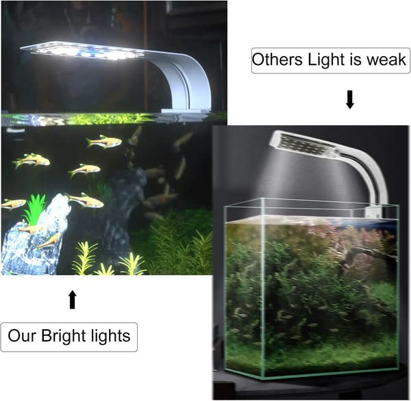 LED-akvarielampa med vitt och blått ljus, 2,5A, vit