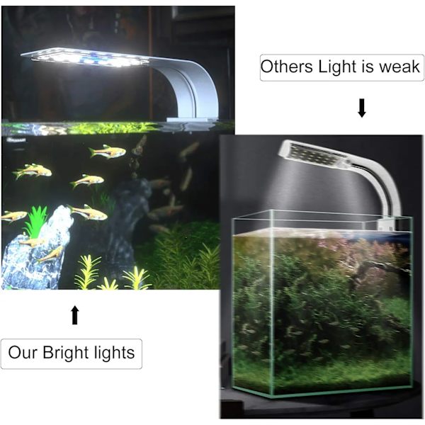 LED-akvarielampe med hvidt og blåt lys, 2,5A, hvid