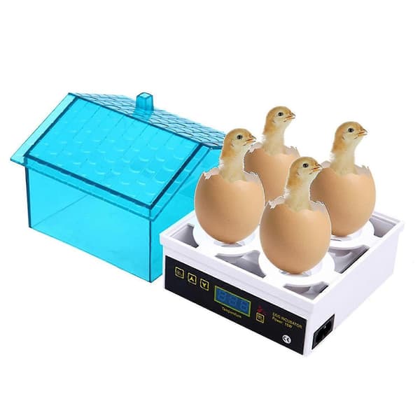 Inkubator kompatibel med kläckägg 4 ägg Inkubera med automatisk temperatur- och fuktighetskontroll Inkubera för