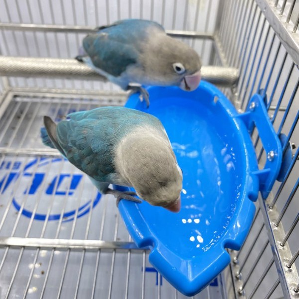 Fågelbadkar Skål Handfat Hängande Fågelbad Pet Papegoja
