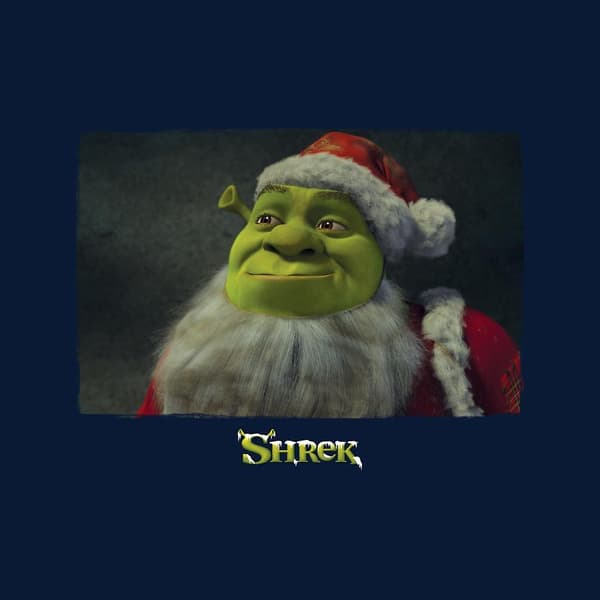 Shrek Jul Julemand Dame Vest Large