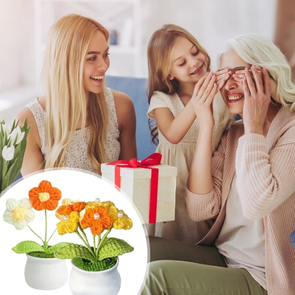 2 Pak Hæklede Potteplanter Strikkede Hæklede Blomster Små Strikkede Blomster i Potte med Plastik Blomsterpotte Hæklet Blomst style 1