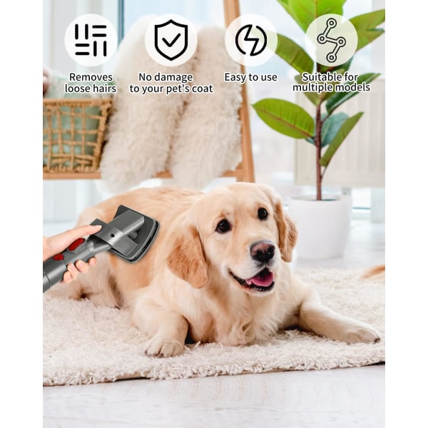 Katte- og hundebørste for Dyson V6 støvsuger, med 1 forlengelsesslange og adapter, 2 avtrekkerlås