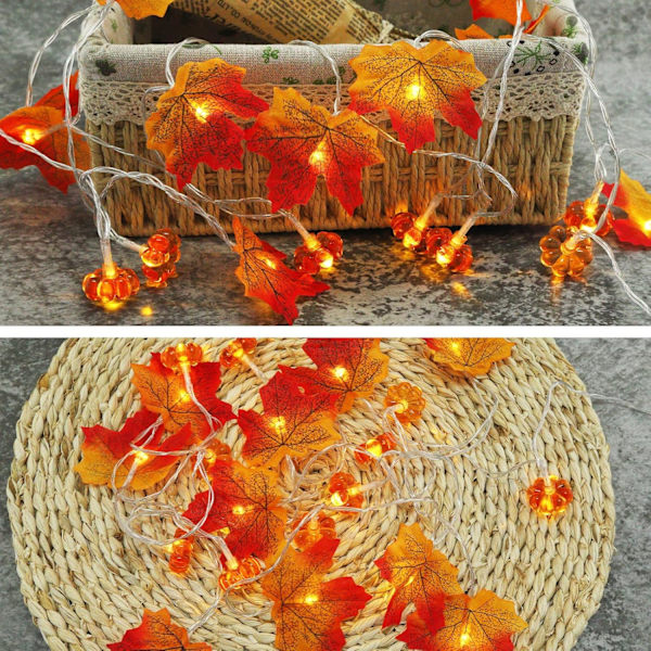 Græskar Ahornblad Lys String Thanksgiving og Halloween Lys String 3 Meter 20 LED Lys String