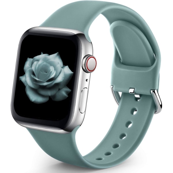 Urheiluranneke Yhteensopiva Apple Watch iWatch Ranneke unisex, pehmeä silikoniranneke Apple Watch 3 6 5 4 2 1 SE Cactus 38mm/40mm S/M