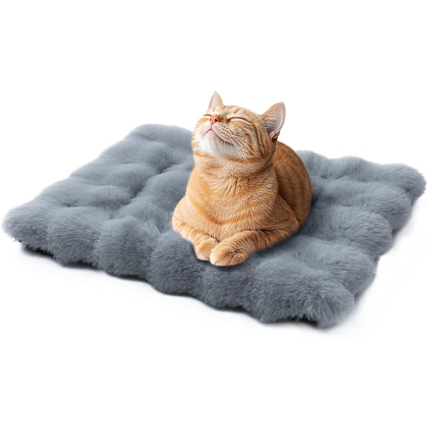Kattesenge til indendørs katte Vaskbar hundekurv Seng Lille flad hundeseng Madras Fluffy hvalpetæppe Plys kurvmadras