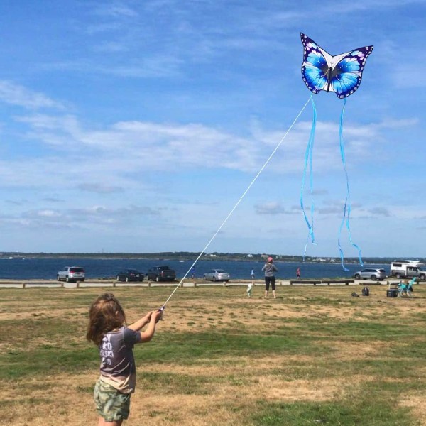 Fargerik sommerfugldrake med 300 fot snor blue 40'' x 30''