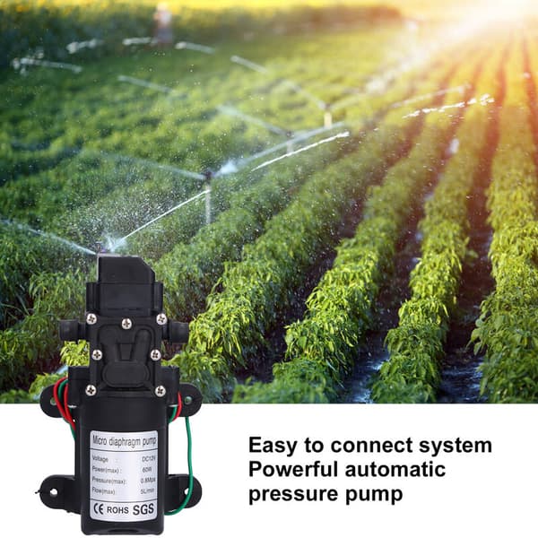 12V 60W Vattentryck Membranpump Självsugande Sprayerpump för Trädgårdsbevattning Pooler