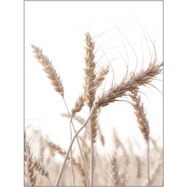 Premium-affisch, set med 3 bilder, heminredning, utan bildram 21x30cm