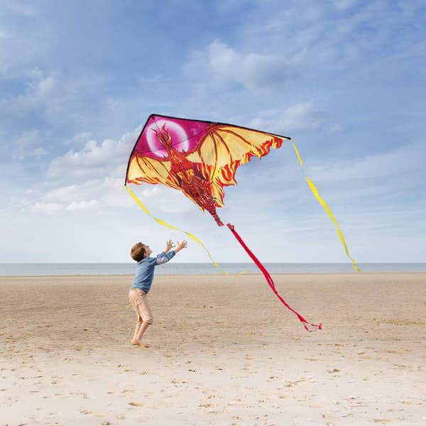 Drage Kite, Enkel å Fly Beste Delta Strand Kite, 300ft Kite String Fiery 62''