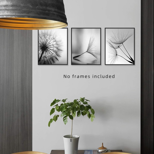 Sort-hvid vægkunsttryk Plakater Minimalistisk indretning, 8x8" lærredsprint Uindrammet sæt af 3, planteplakater æstetisk til stuen