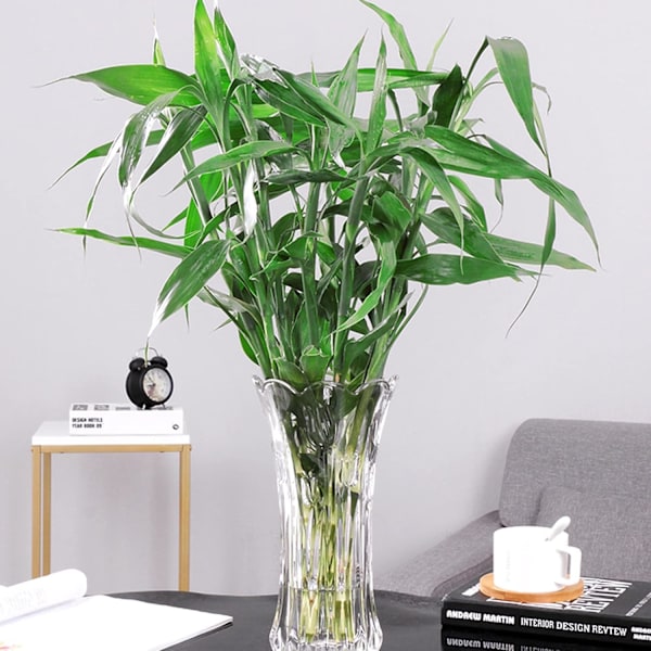 Set med 2 Glasblomvaser, 9,5 tum Stora Blomvaser för Mittstycken, Modern Klar Tjock Kristall Hög Cylinder Utvidgad Vas
