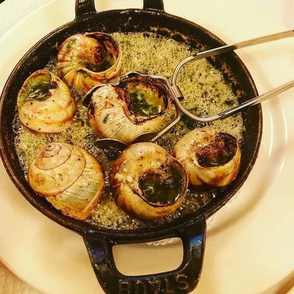 Snigel-tångar i rostfritt stål, matklämmor, mini-kökstångar