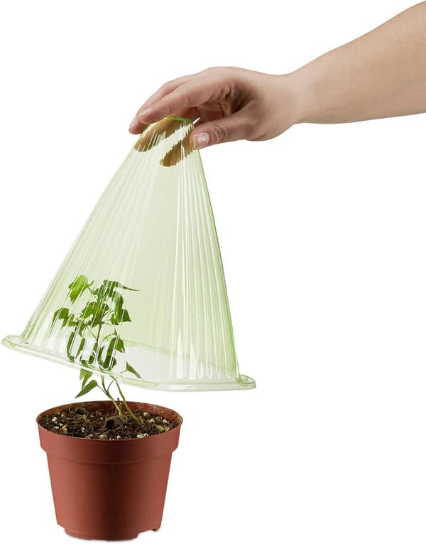 Sæt med 20 Mini Drivhuse til Planter, Beskyttelse mod Kulde, Snegle og Fugle, PVC, Grøn