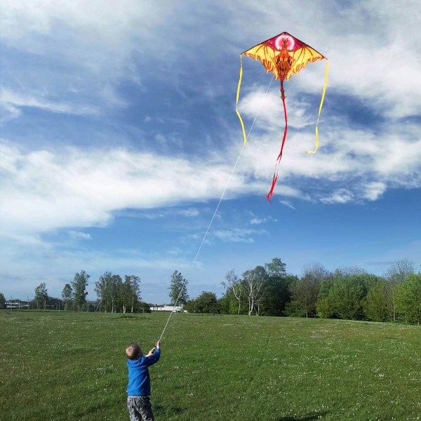 Dragon Kite , helppo lennättää Paras Delta Beach Kit, 300ft Kite String Fiery 62''