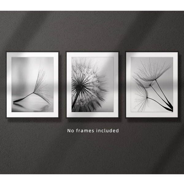 Sort-hvid vægkunsttryk Plakater Minimalistisk indretning, 8x8" lærredsprint Uindrammet sæt af 3, planteplakater æstetisk til stuen