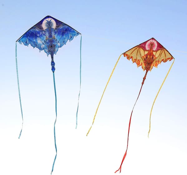 Drage Kite, Enkel å Fly Beste Delta Strand Kite, 300ft Kite String Ice 62''