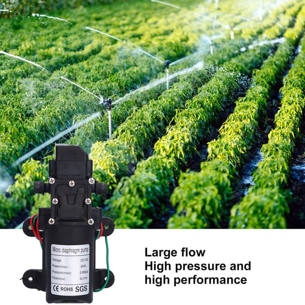 12V 60W Vattentryck Membranpump Självsugande Sprayerpump för Trädgårdsbevattning Pooler