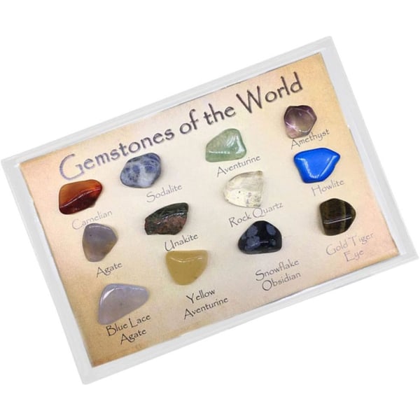 15 Stk Mini Agate rå ædelsten samling Box Rock Stone Kit Geologi Science Learning About 8 x 5 x 1.3 cm.