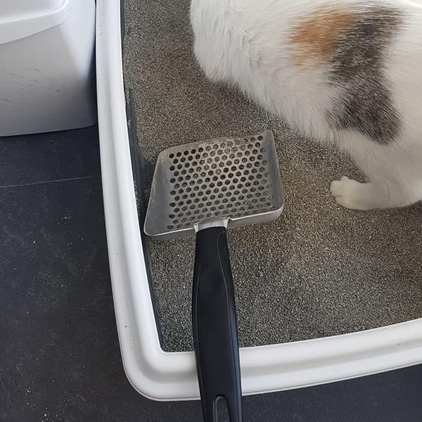 Speciell djup metall kattsandsspade för kattsandsspade