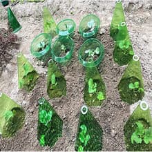 10 st Plant Solhatt - Skyddande Klocka för Växter som Växthjälpmedel - 10 stycken