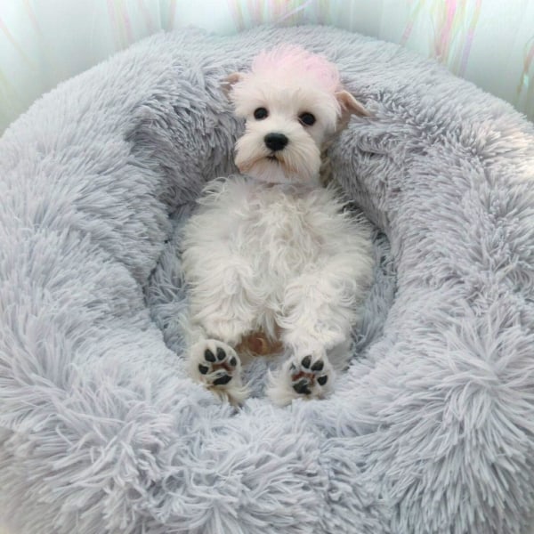 Mini Mellanstorlek Hund Katt Säng Självvärmning Höst Vinter Inomhus Snooze Sovande Mysig Kitty Teddy Kennel Light Grey 23.6”Dx7.9 H