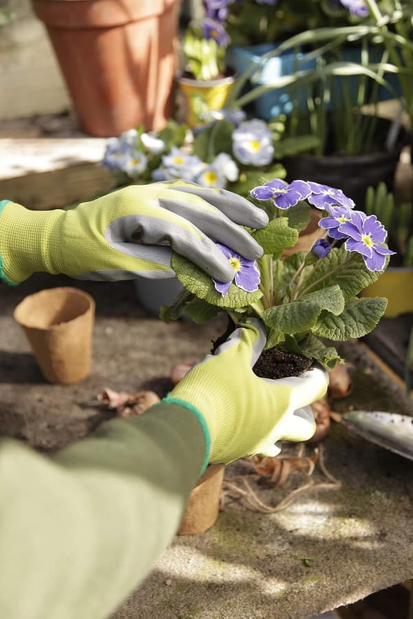 Kew Gardens Kollektion Så- og Lugerhandsker