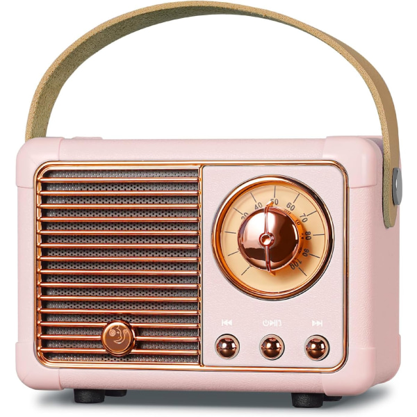 Mini Bluetooth-højttaler med FM-radio, med genopladeligt batteri, understøtter TF-kort/AUX/USB, Bluetooth 5.0, boligindretning, gave pink