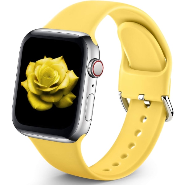 Urheiluranneke Yhteensopiva Apple Watch iWatch Ranneke unisex, pehmeä silikoniranneke Apple Watch 3 6 5 4 2 1 SE Ginger 38mm/40mm M/L