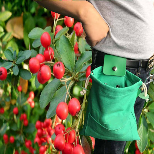 1 Stykke Grønn Utendørs Camping Foraging Bag Foraging Bag Frukt