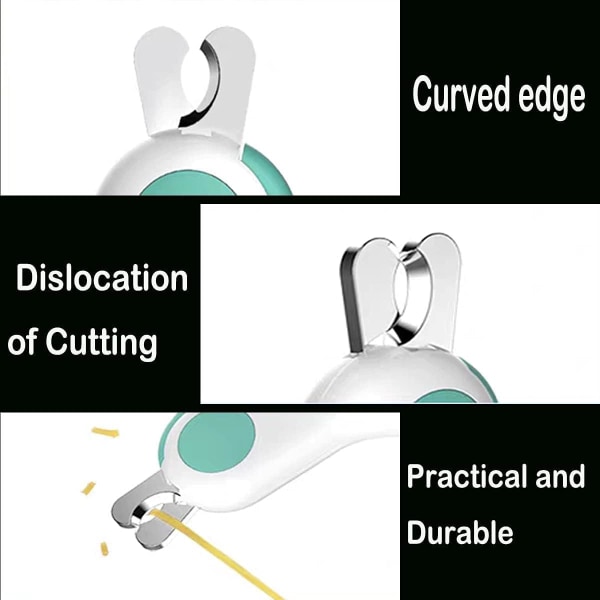 1 lemmikkikoiran ja kissan kynsileikkuri LED-valolla pienille eläimille,
