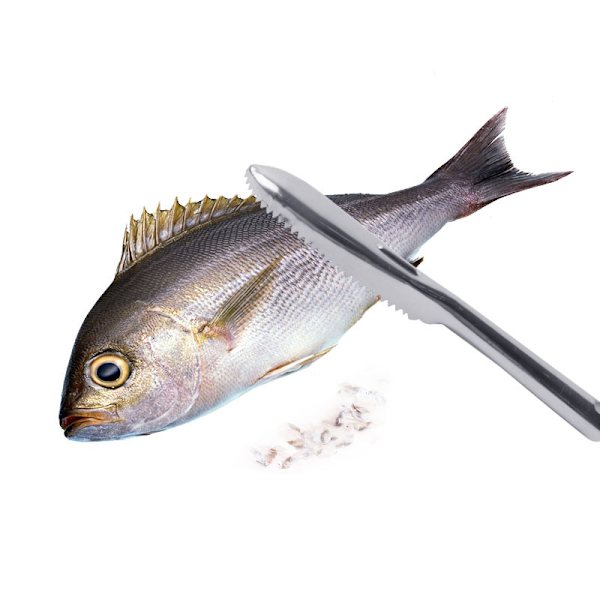 1 styck Köksredskap i rostfritt stål för att skala fisk