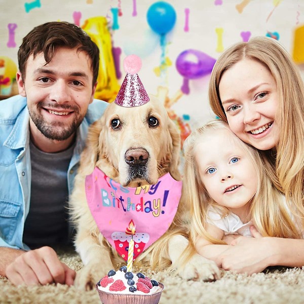 Fødselsdagsbandanasæt til kæledyrskat og hund med trekantshalstørklæder, hat, butterfly og banner til hund eller kat fødselsdagsfestdekoration