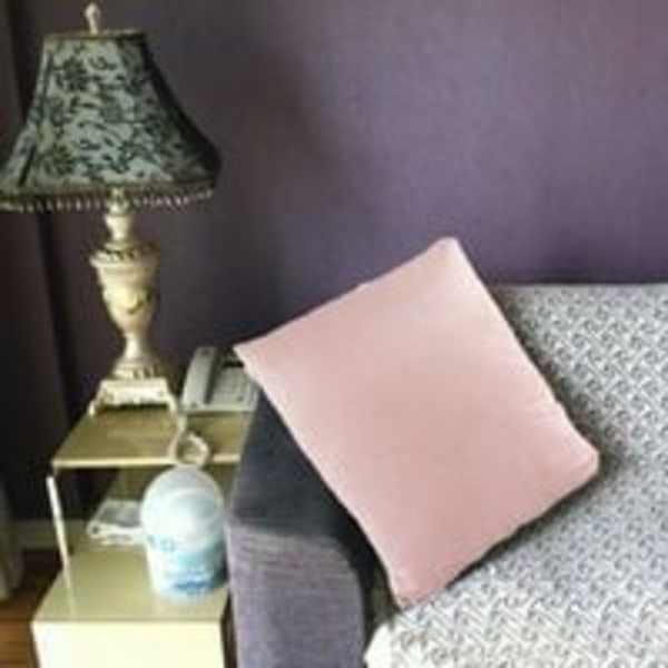 (Rosa) Sammetskuddfodral 50x50 cm Dekorativ Soffa Heminredning Kuddfodral Supermjuk Heminredning Vardagsrum Sovrum S