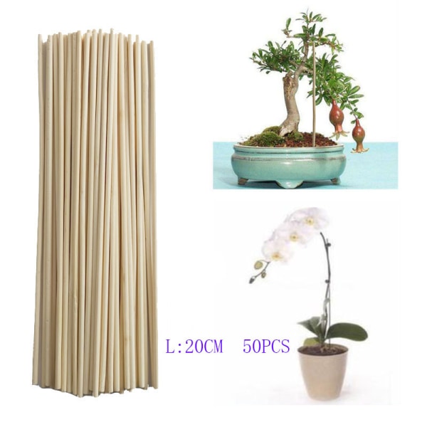 50 st bambu pinne växt stöd för tillväxt stöd pinne liten bonsai