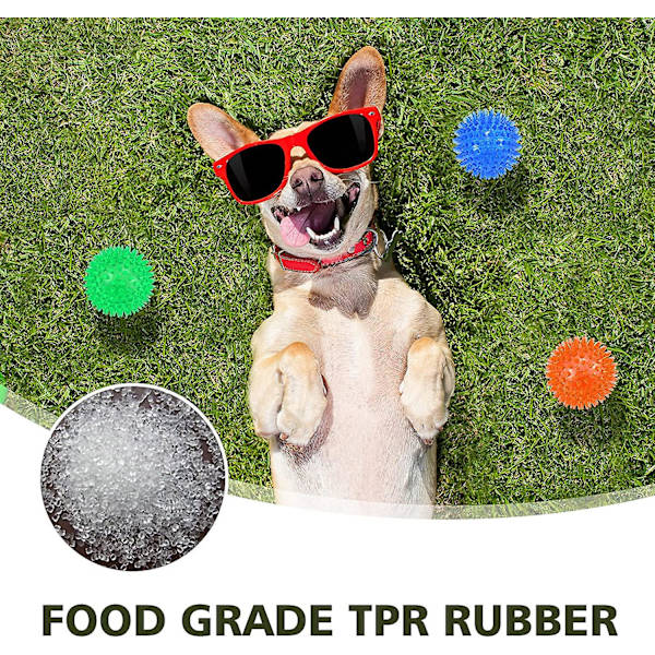 3-pack hundsqueakerbollar, hundtuggboll, poolleksak, valpleksak, tuggleksak