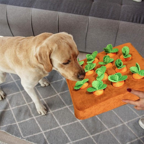 1 st bit morots trädgårdshundleksak, interaktiv hundleksak hund