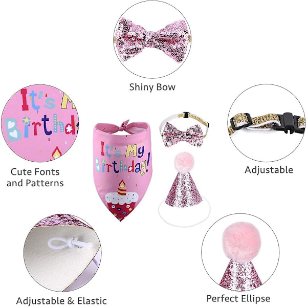 Lemmikki Kissa Koira Syntymäpäivä Bandana Setti Kolmio Huivi Hattu Rusetti Banneri Koira Tai Kissa Syntymäpäiväjuhlat Koriste